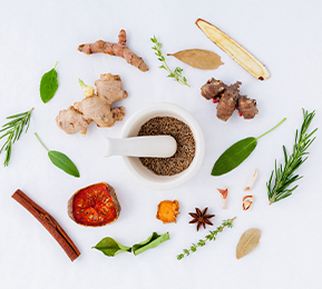 釋放植物力量，實現(xiàn)植物功能成分風味優(yōu)化及多維度功能覆蓋